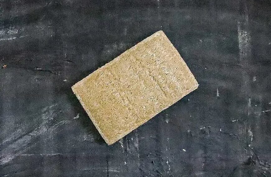 Eco Sponge: A Sustainable Alternative for Everyday Cleaning